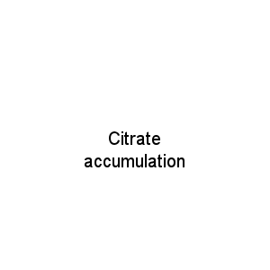 Citrate accumulation